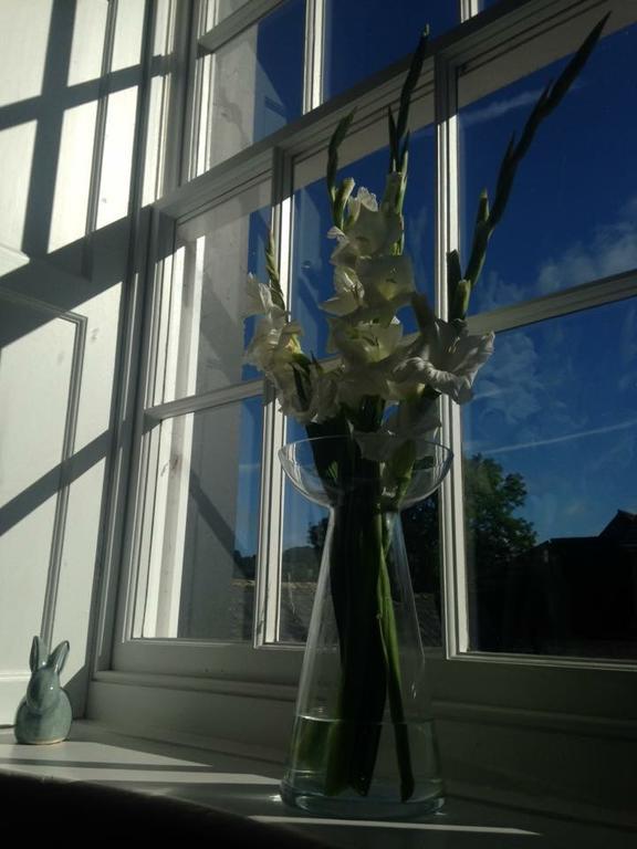Lanercost Country B&B Brampton  Buitenkant foto