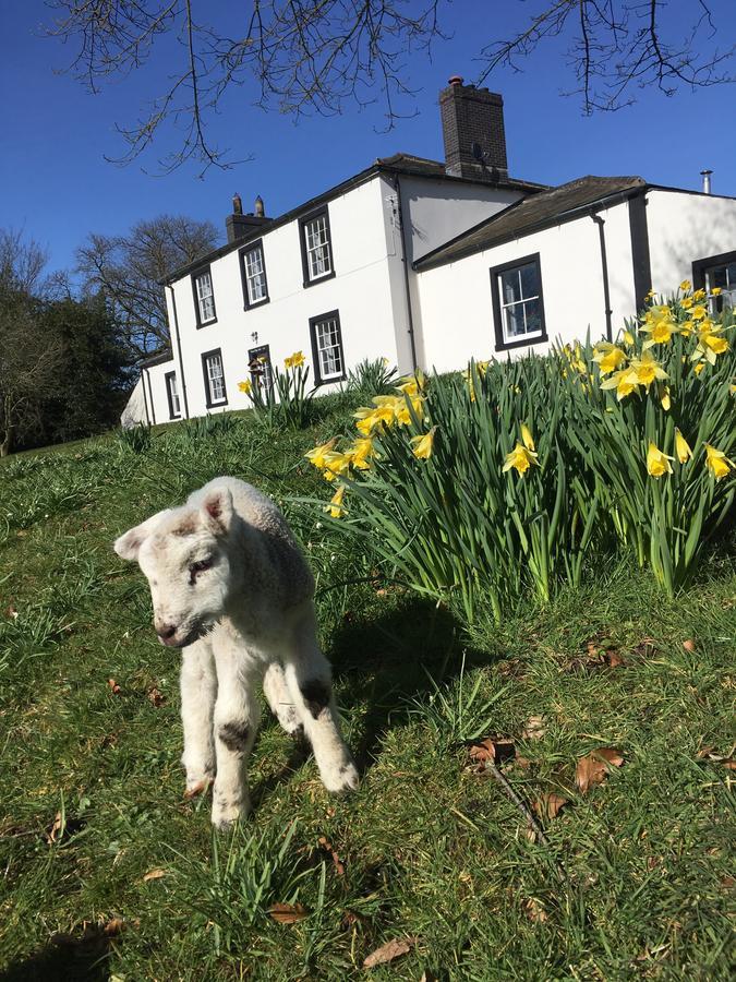 Lanercost Country B&B Brampton  Buitenkant foto